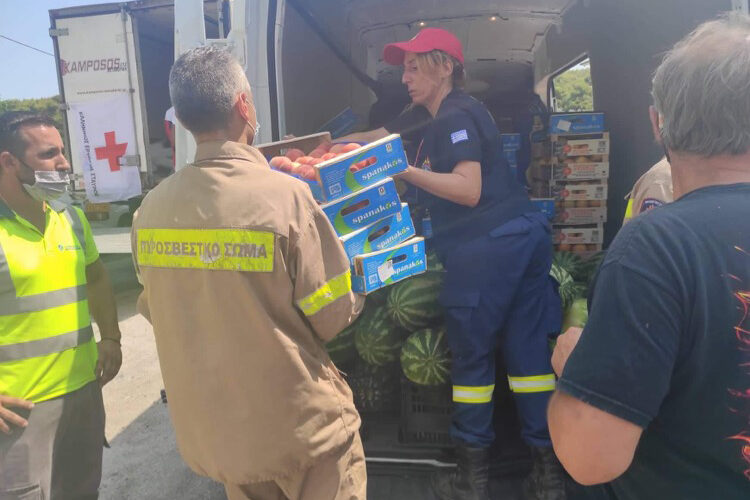 2 Τόνους Φρούτα πρόσφερε ΠΟΣΠΛΑ για τα μέλη των σωμάτων ασφαλείας και τους εθελοντές που επιχειρούν στα Βίλια