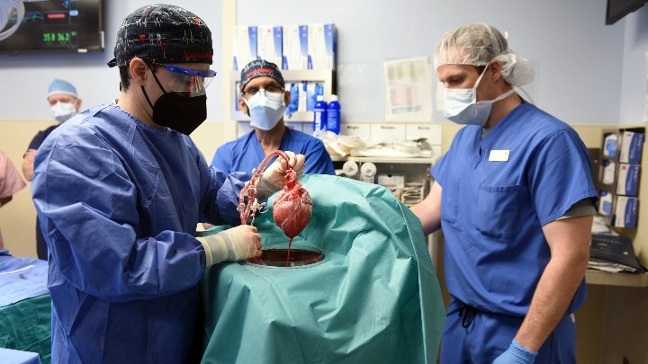 ΗΠΑ: Πέθανε ο πρώτος ασθενής που υποβλήθηκε σε μεταμόσχευση καρδιάς από γενετικά τροποποιημένο χοίρο
