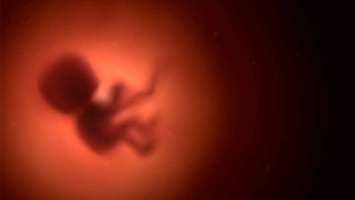 Νέο ψήφισμα του Ευρωβουλευτή, Εμμανουήλ Φράγκου για την υπεράσπιση της ζωής του εμβρύου