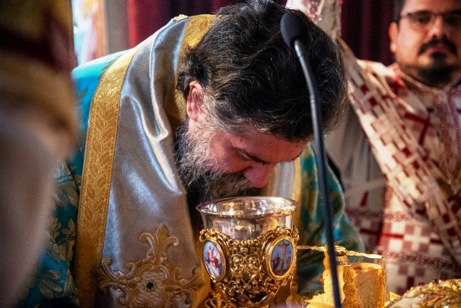 mitropolitis_serron_theologos_adologala (3)