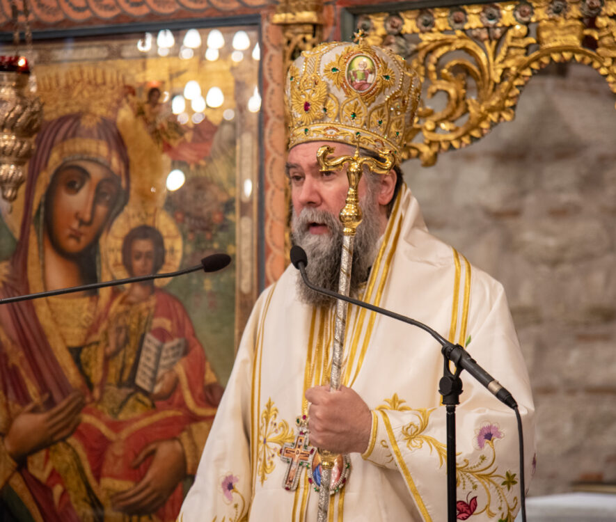 Μητροπολίτης Σερρών Αγία Μαρίνα ειδήσεις άδολο γαλα (56)