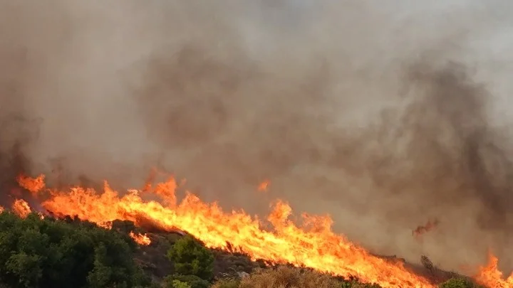 Μεγάλη πυρκαγιά μαίνεται στην Ανατολική Αττική - Ολονύκτια μάχη με τις φλόγες από τους Πυροσβέστες και στην Ηλεία 