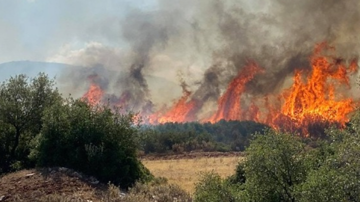 Ζάκυνθος: Μεγάλη αναζωπύρωση στο χωριό Κοιλιωμένος - Εστάλη 112 στους κατοίκους τεσσάρων χωριών