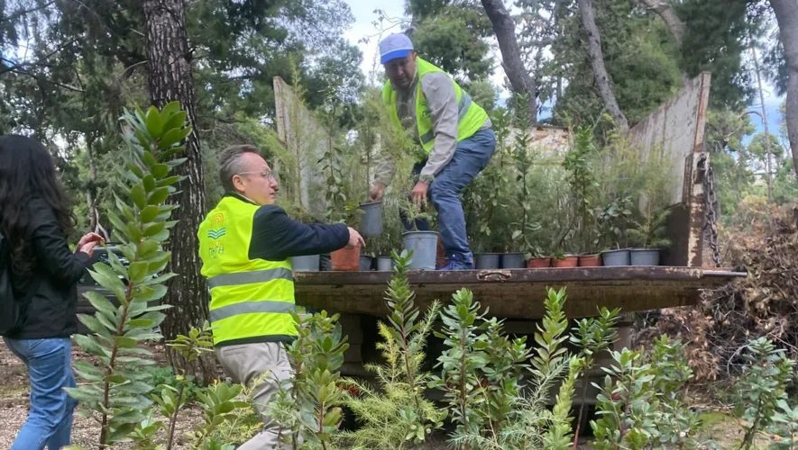 Χάρης Δούκας: «Συνεχίζουμε με εντατικούς ρυθμούς το πρόγραμμα φυτεύσεων για τη νέα χρονιά» - 500 νέα δέντρα στο Άλσος Ιλισίων