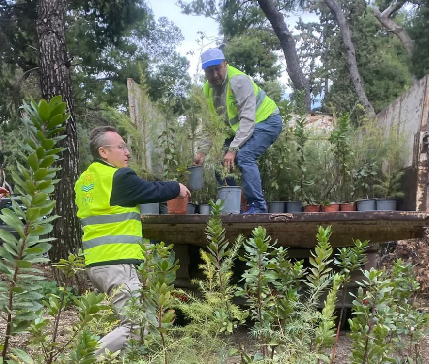 Χάρης Δούκας: «Συνεχίζουμε με εντατικούς ρυθμούς το πρόγραμμα φυτεύσεων για τη νέα χρονιά» - 500 νέα δέντρα στο Άλσος Ιλισίων