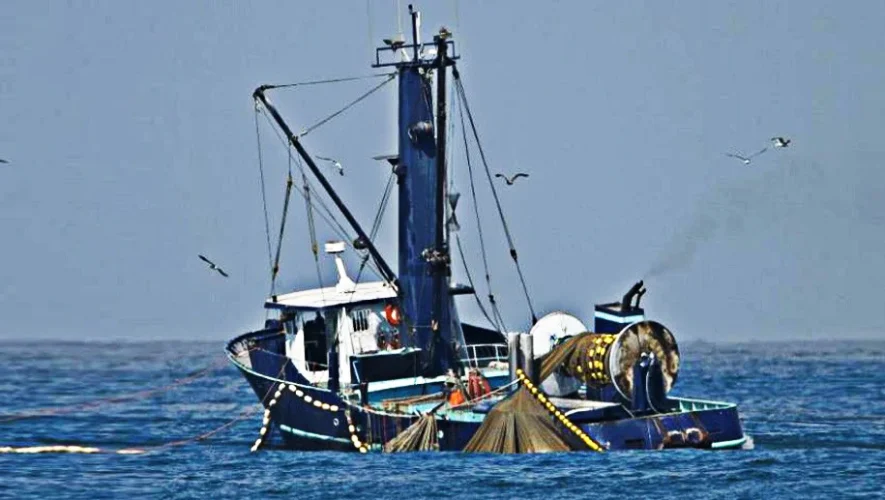 τουρκικές μηχανότρατες, Αιγαίο, τουρκικά αλιευτικά, Γεώργιος Βάλλης, ΠΕΠΙΕΘ, Έλληνες ψαράδες, παράνομη αλιεία, Φαρμακονήσι, Αγαθονήσι, Αρκιοί, Δωδεκάνησα, Ανατολικό Αιγαίο, ελληνική αλιεία, θαλάσσια σύνορα, Λιμενικό, αλιευτικά αποθέματα